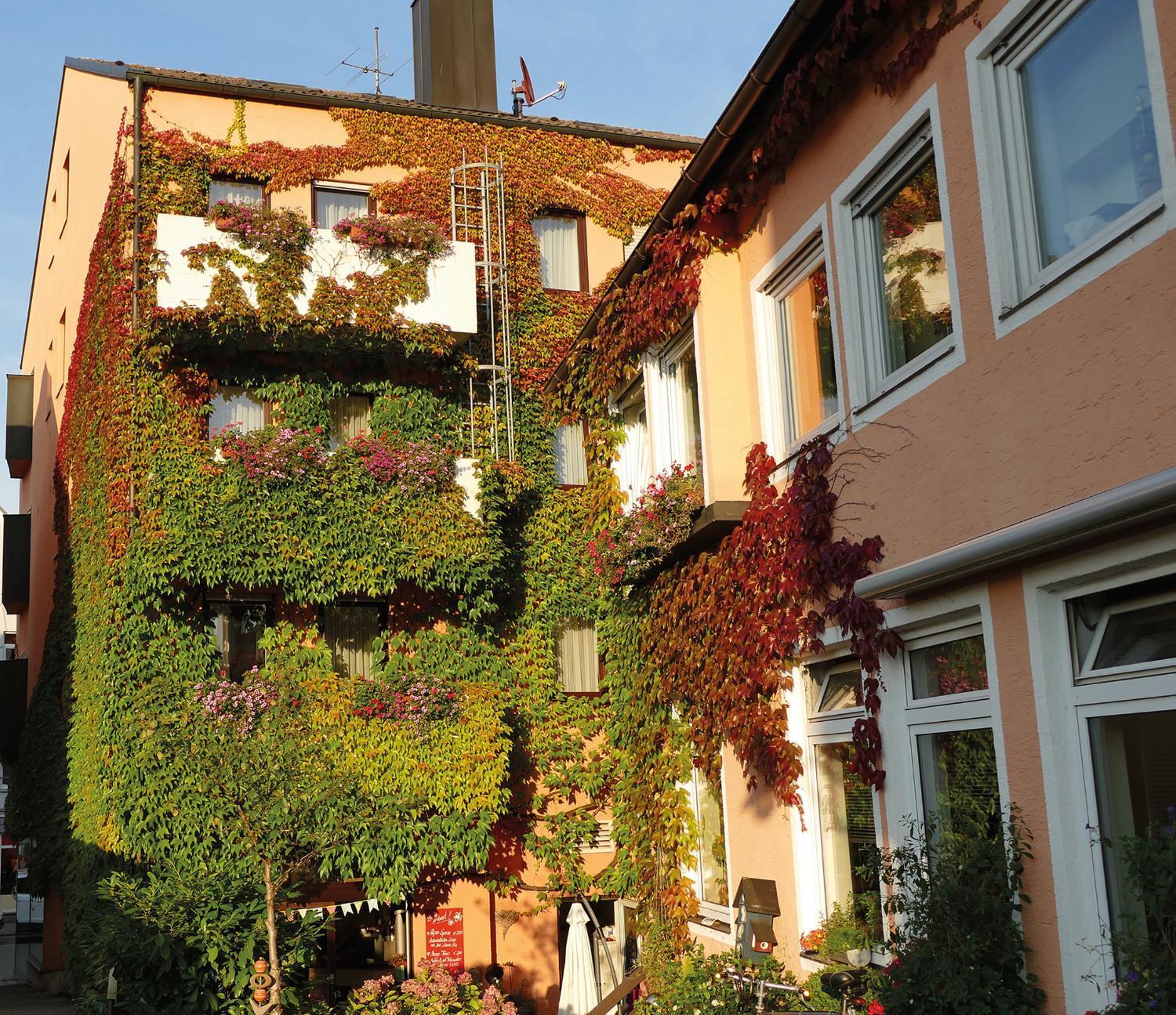 Hasi'S Hotel Grafing Zewnętrze zdjęcie